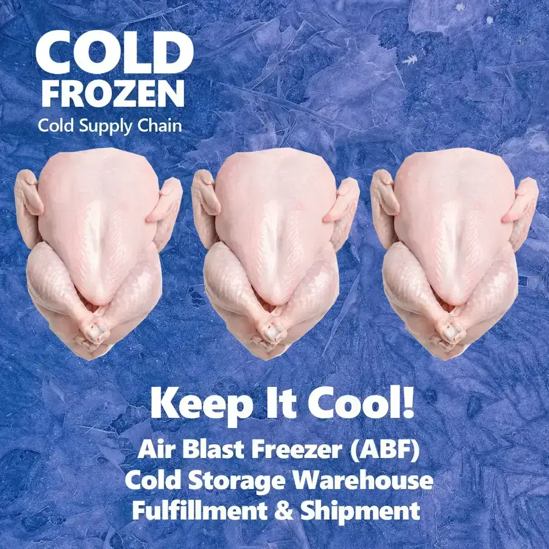 Frozen Meat chicken Cold Storage Warehouse and fulfillment service, rantai pasok teknologi, cold storage jakarta, sewa cold storage